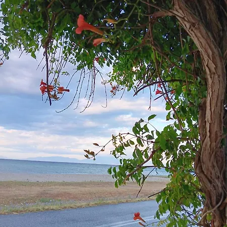 Dom wakacyjny Halkidiki Sea View