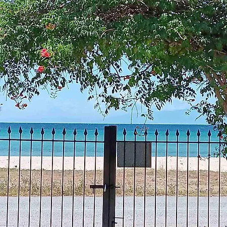 Halkidiki Sea View