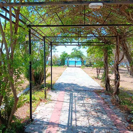 Semesterbostad Halkidiki Sea View Nea Kallikrateia